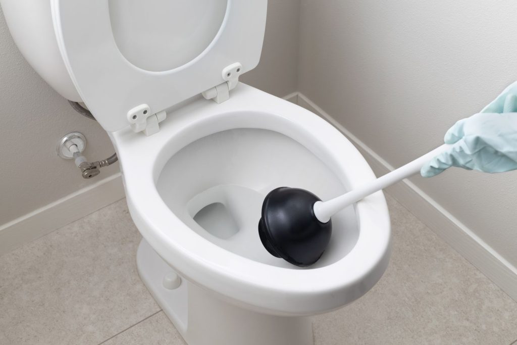 Can You Put Liquid Plumber In A Toilet