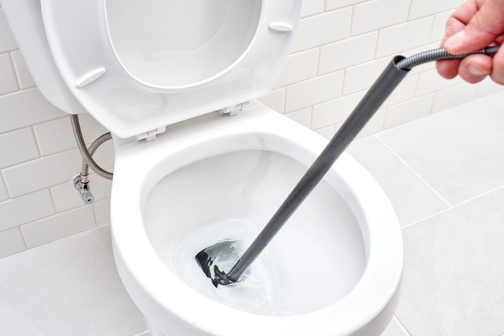 Can You Put A Plumbing Snake Down A Toilet