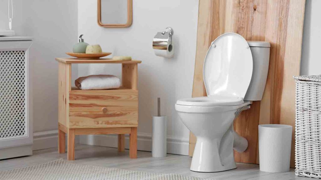 How Much Does It Cost To Plumb A Toilet