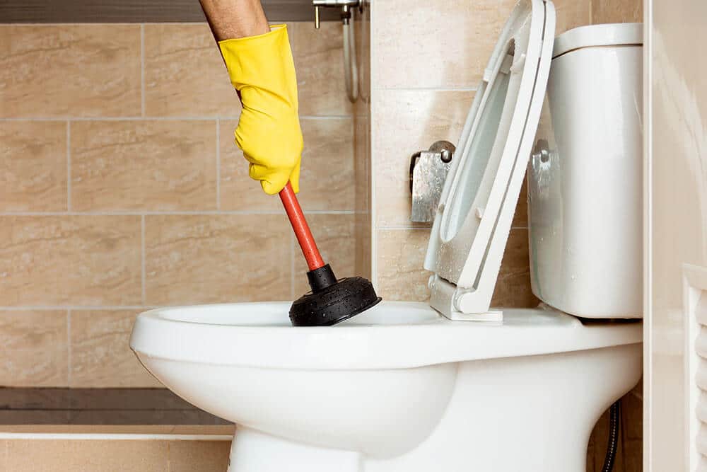 How Much Is A Plumber To Unclog A Toilet