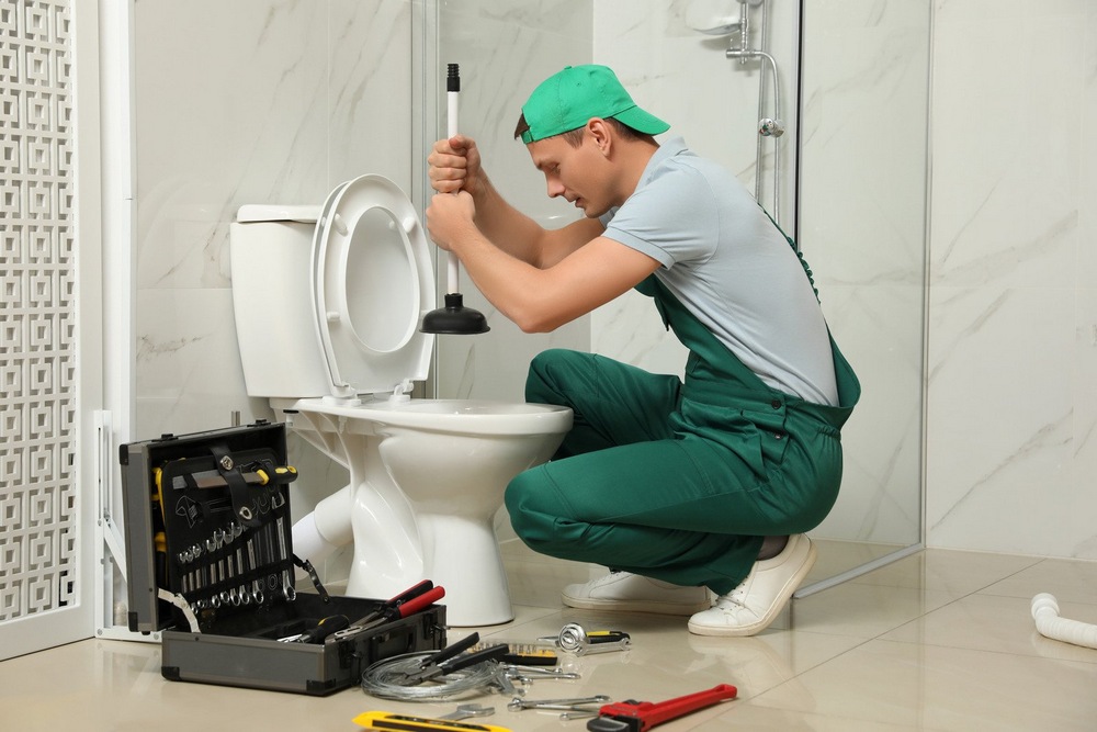 Can I Use Mister Plumber In My Toilet