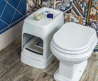 The Ultimate Guide to a Cat Litter Box That Hooks Up to Plumbing
