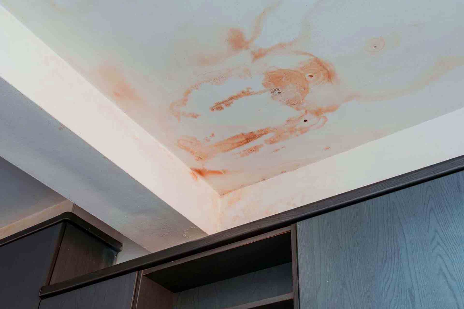 Does State Farm Homeowners Insurance Cover Plumbing Leaks?