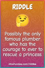 Possibly The Only Plumber To Rescue A Princess — Here’s How