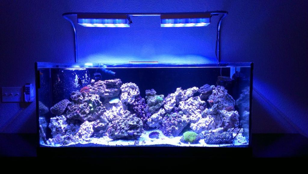 Edge 75 Gallon Rimless Reef Ready Aquarium &Plumbing Kit Am13075