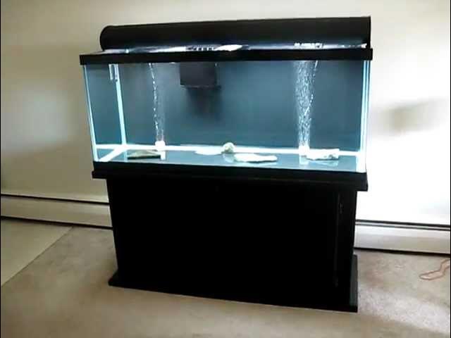 How to Drill and Plumb a 75 Gallon Reef Tank (Step-by-Step Guide)