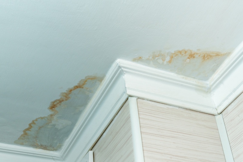 How To Know If Plumbing Behind A Wall Is Leaking