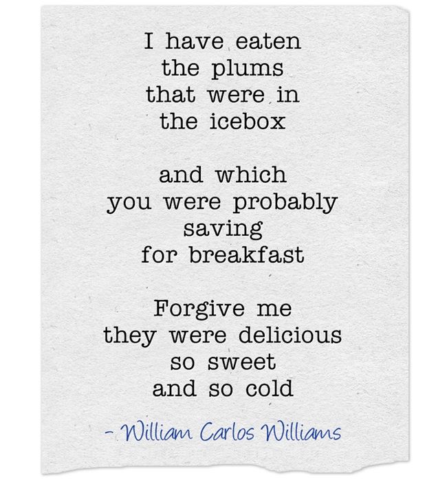 I Have Eaten The Plums That Were In The Icebox – Meaning & Analysis