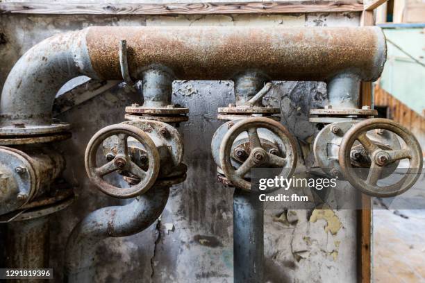 Is Using Coconut Oil for Your Hair Bad for Plumbing?