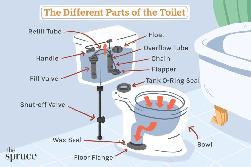 Location Of The Flow Valve On A Crane Plumbing Toilet