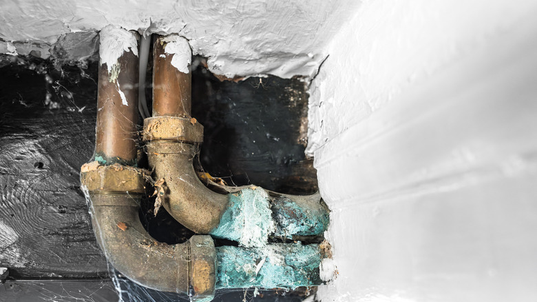 Mike Holmes Bad Plumbing Issues With Hot Water In Shower