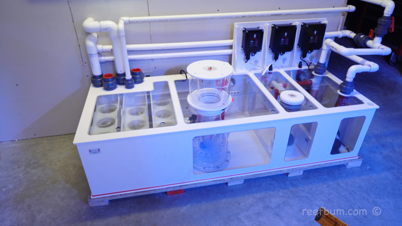 Plumbing Reef Tank To Be Able To Add Equipment Later