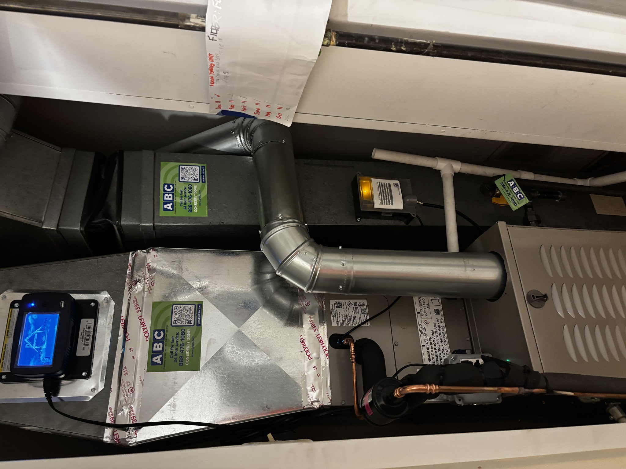 ABC Plumbing & The Blonde Girl: Separating Fact from Fiction