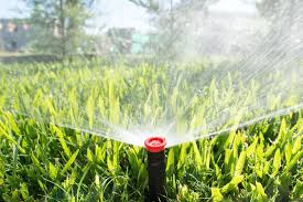 Above Ground Watering Systems: No Plumbing Permit Needed!