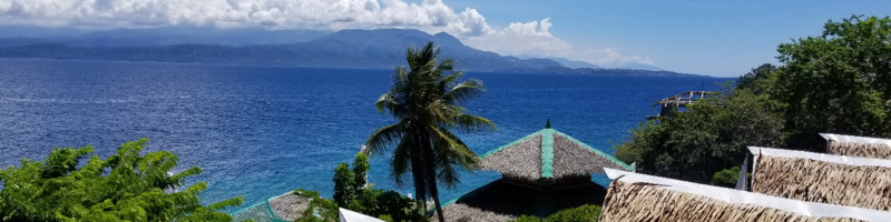 Shepherd’s Plumbing Heating and Air: Mountain View’s Trusted HVAC & Plumbing Experts