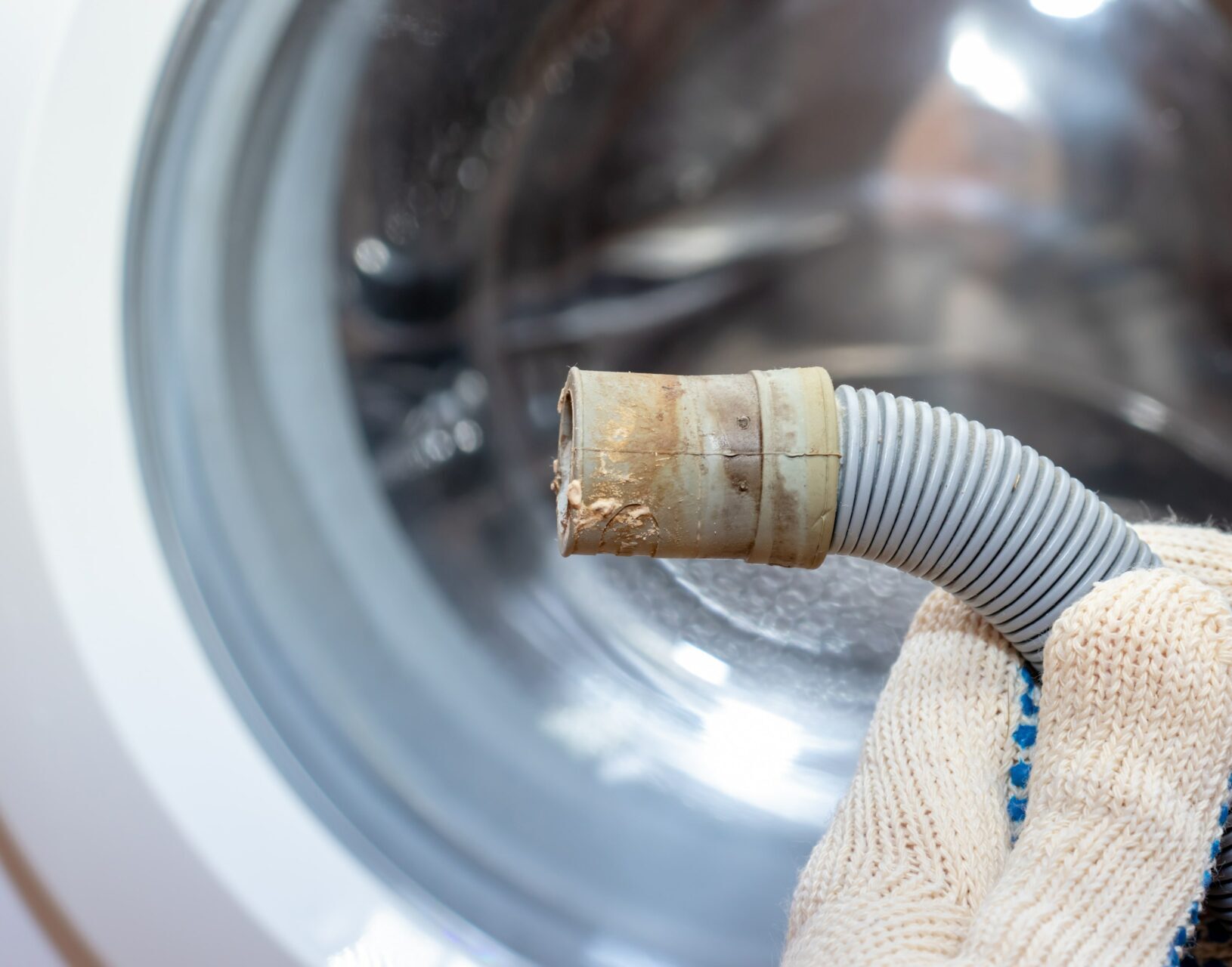 Should a Plumber Replace Your Washing Machine Hoses? Here’s the Truth