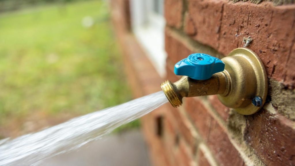 Should.I Call A Plumber Or Irrig Specialist For Leakyhose Bib