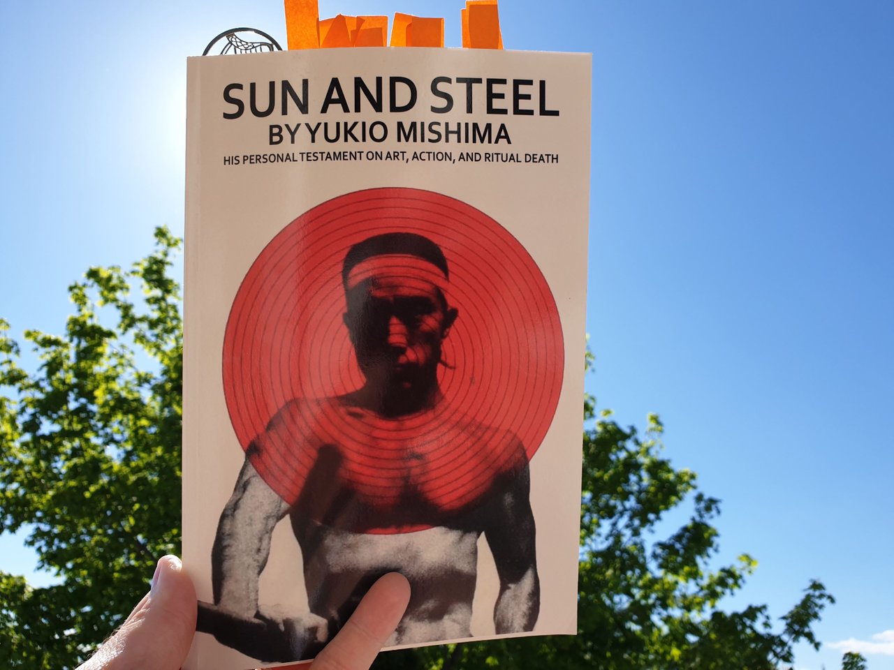 Sun and Steel Mishima: Why Must Thought Plumb the Depths?