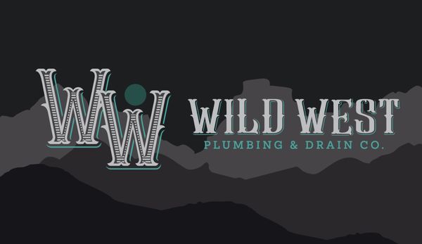 Texas Is About To Become The Wild West Of Plumbing