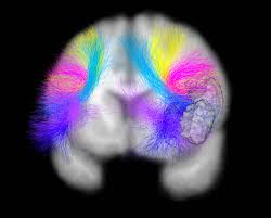 Harvard Brain, Plumber’s Heart: The Ultimate Career Hybrid