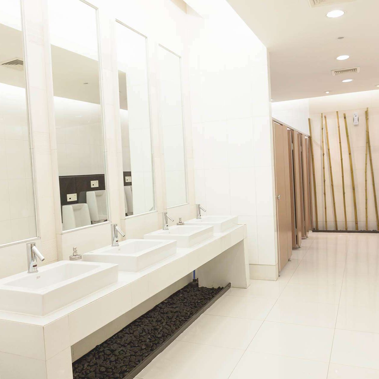 Bob Frank Plumbing Haines Road North Saint Petersburg Fl: Expert Guide