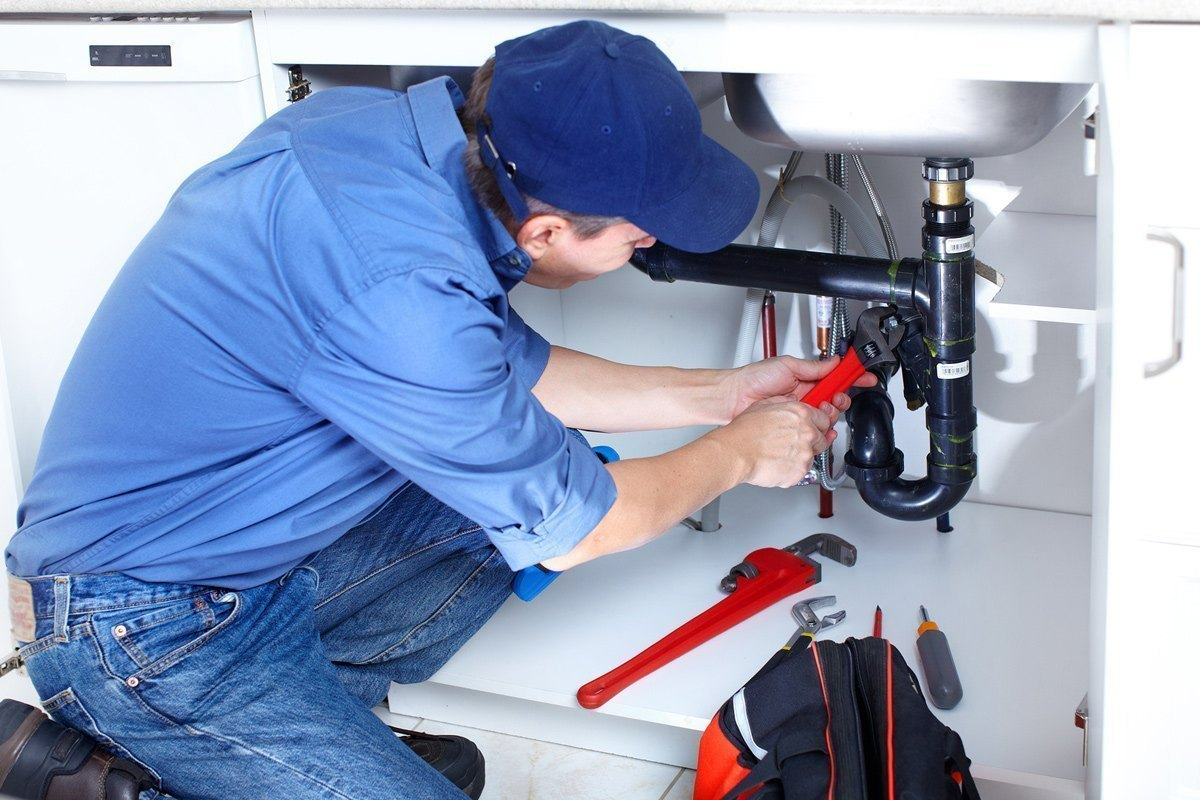 Business Look Up: Red Cedar Plumbing And Drain Cleaning Guide