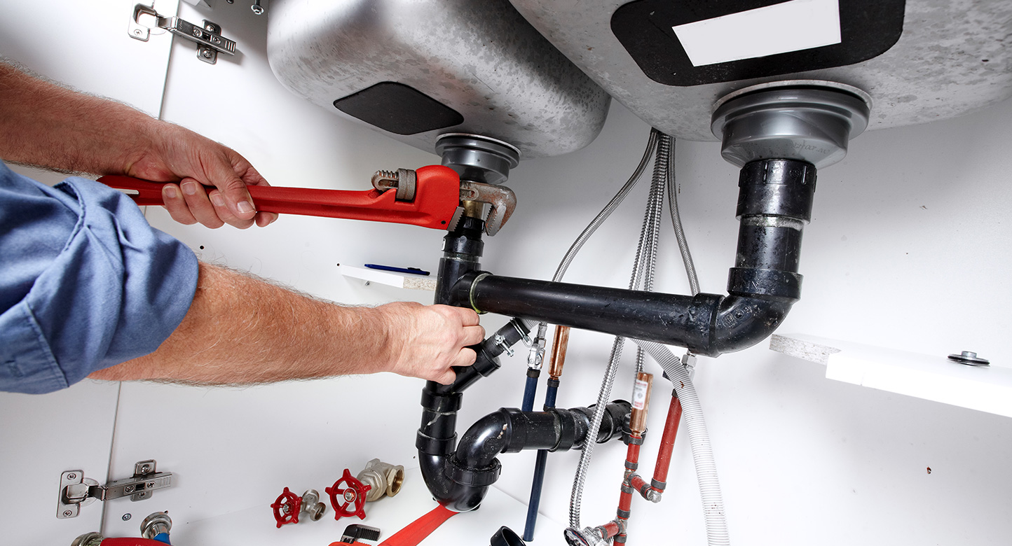 Can a Pest Control Guy Fix Plumbing in WA?