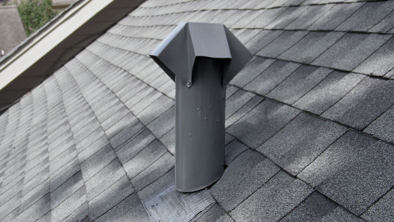 Can Flies Enter Through Plumbing Vents? Yes, Here’s How