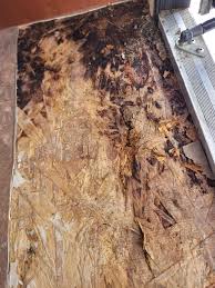 Can Plumbing Cause Soft Floors In My Travel Trailer?