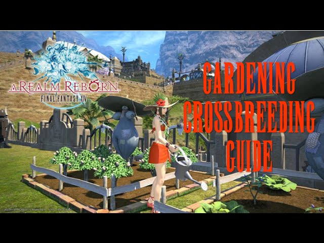 Crossbreeding Doman Plumb in FFXIV: Get More Seeds