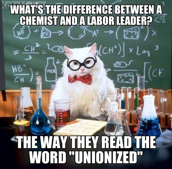 Chemist vs. Plumber: The Unionized Joke Explained
