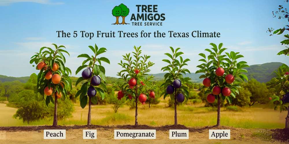 Plum vs Apple Tree Trunk: Key Differences Explained