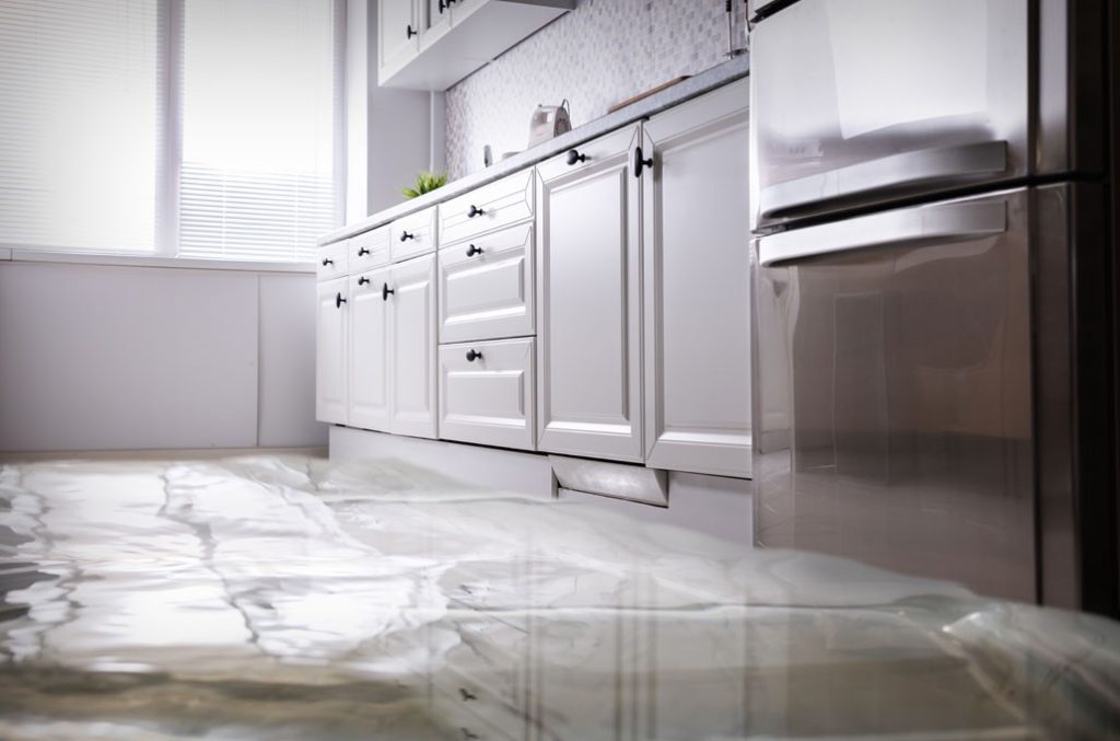 Does Home Warranty Cover Mold Damage From Plumbing Leak