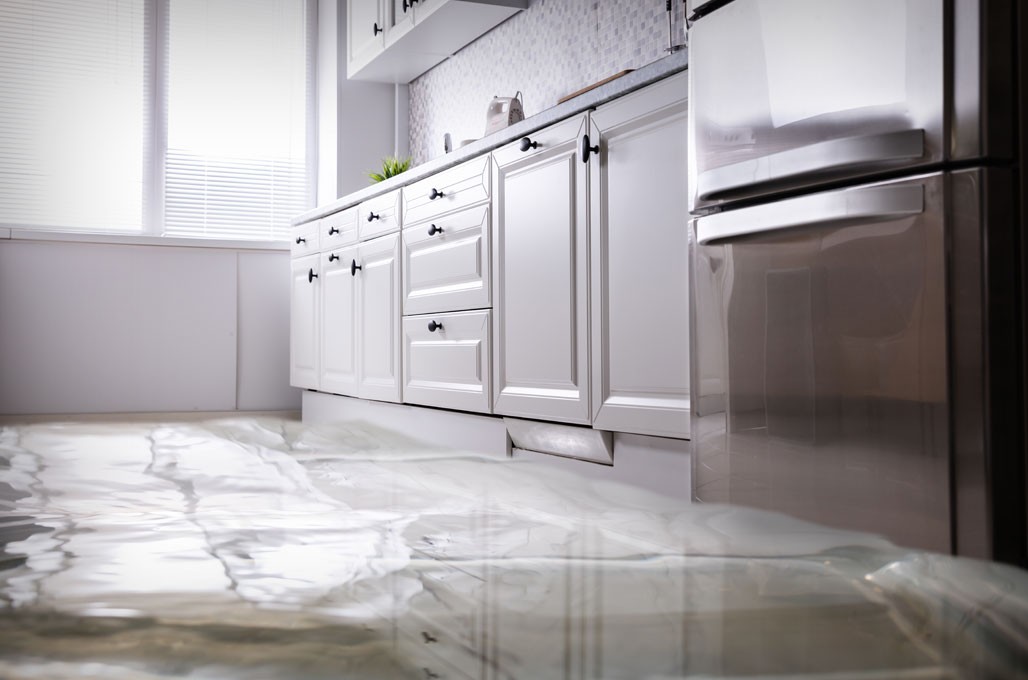 Does Home Warranty Cover Mold From Leaks?