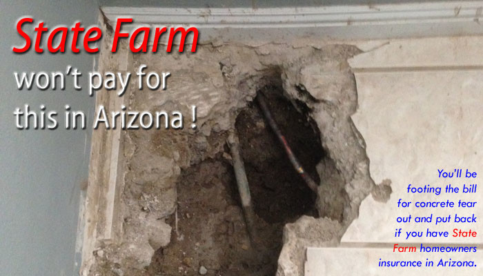 Does State Farm Cover Sudden Plumbing Leaks?