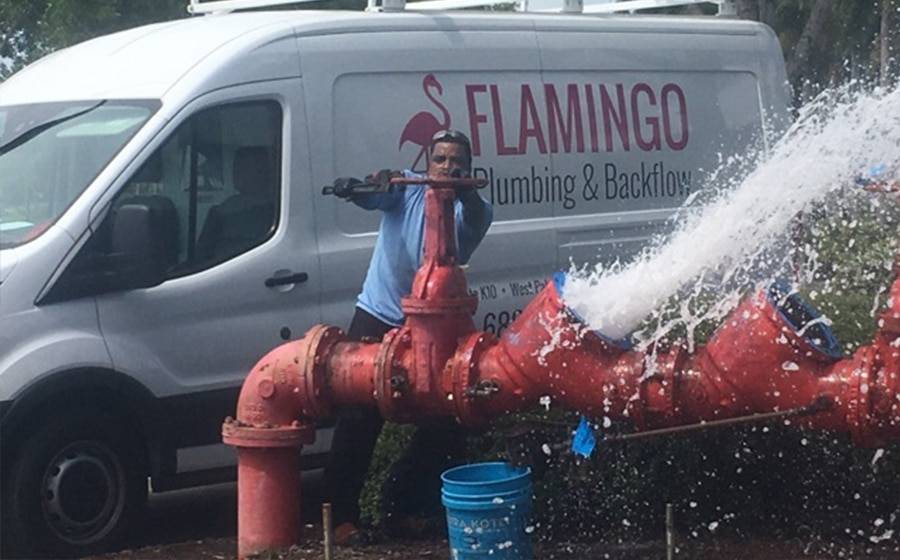 Flamingo Plumbing & Backflow Services West Palm Beach Fl