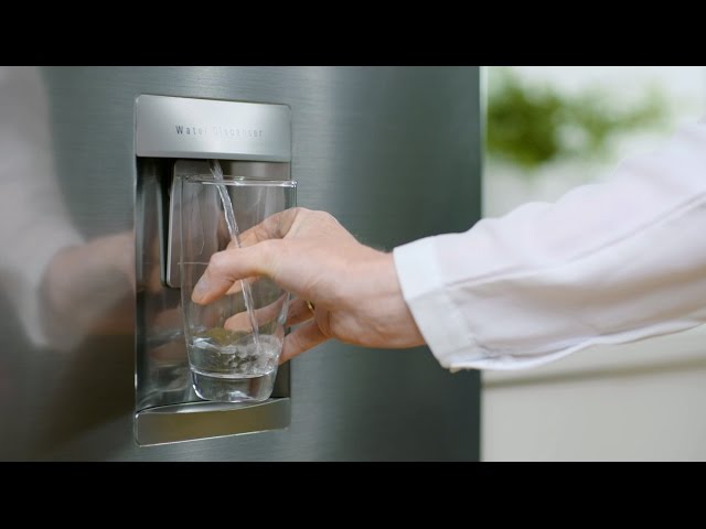 Best No-Plumb Fridge With Water And Ice Dispenser
