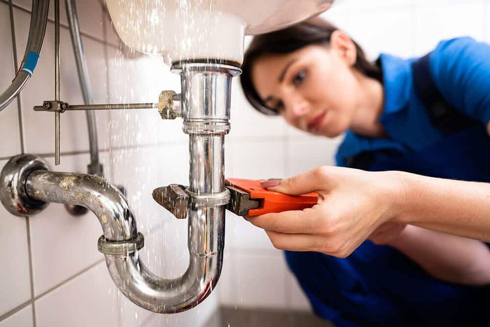 Find Hidden Leaks: Hire a Pro Today
