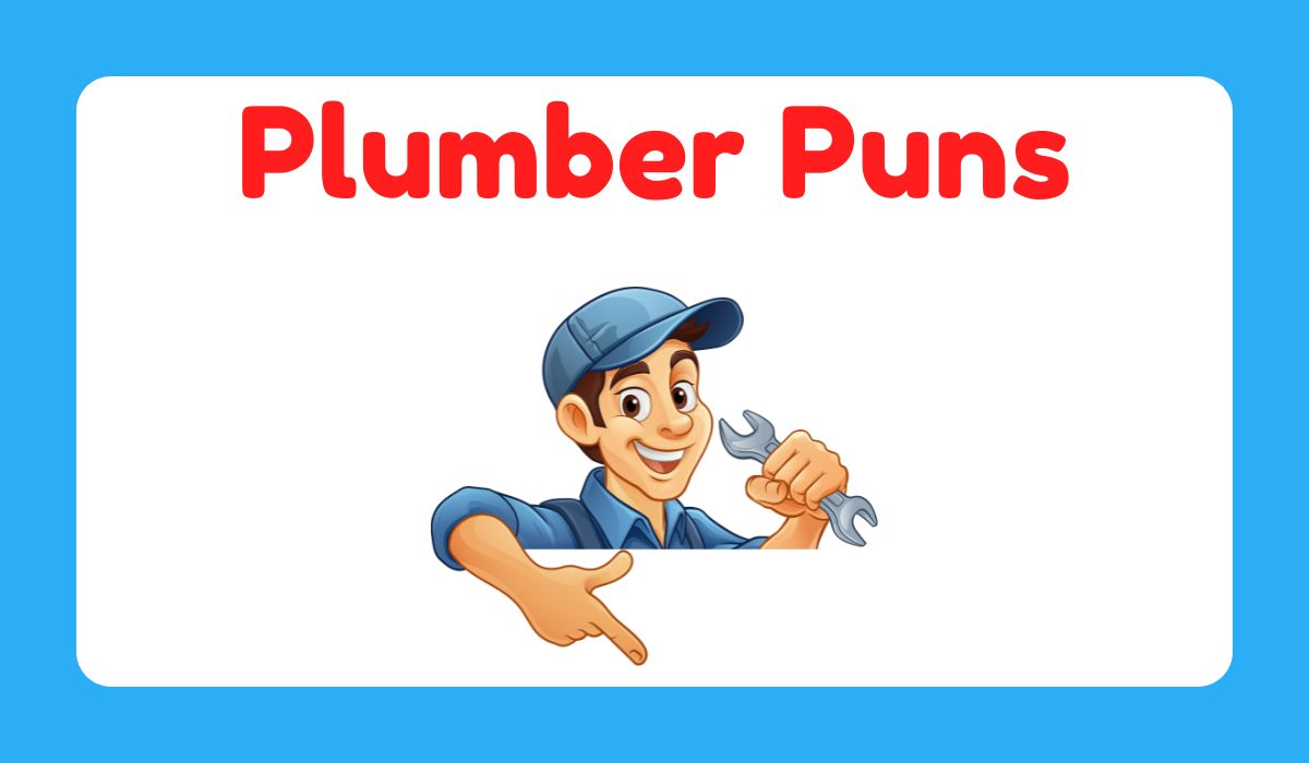 How Do You Make A Plumber Cry? Joke Explained