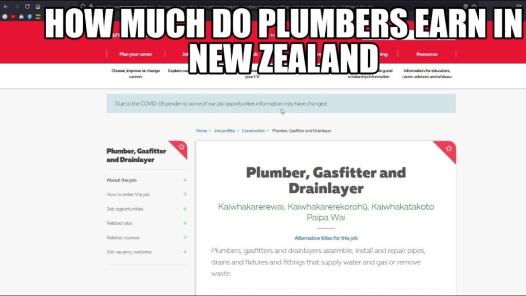 How Much Can A Plumber Earn In New Zealand