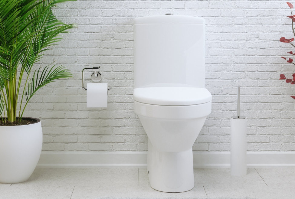 How Much Does A Plumber Charge For 100 Toilets?