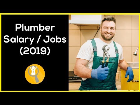 How Much Does A Plumber Make A Year 2019?