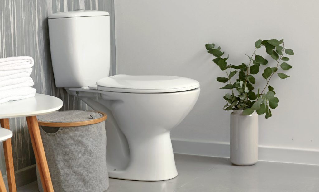 How Much For A Plumber To Install New Toilet