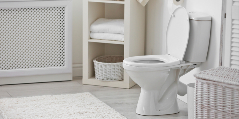 How Much For Plumber To Unclog Toilet In Az? (2026 Guide)