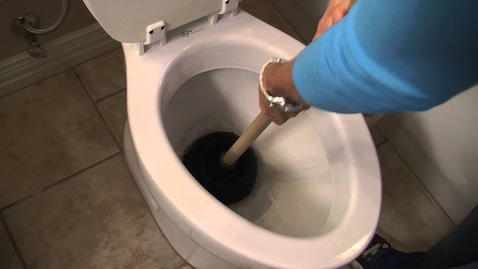 How Much Does a Plumber Charge to Unclog a Toilet?
