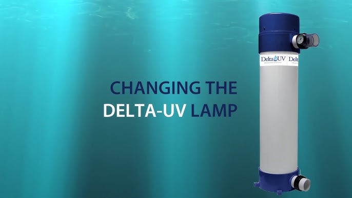 How to Plumb a Delta UV D80 Pool System Correctly