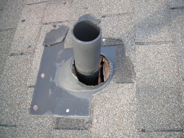 Stop Squirrels in Plumbing Vents: A Pro Guide
