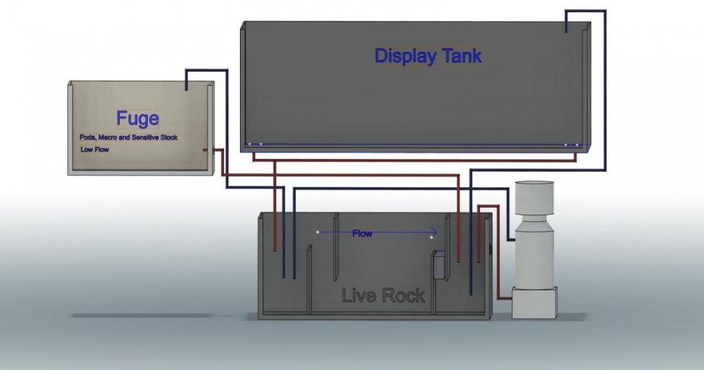 How To Make A Reef Tank Plumbing Diagram Reef2Reef