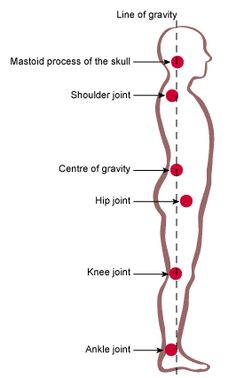 How To Make A Sagiyyal Plumb Line For Posture