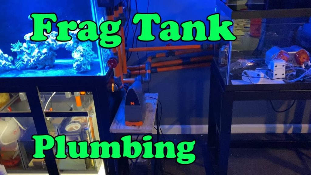 How To Plumb A Frag Tank Into A Display